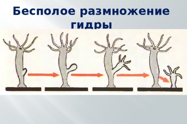 Магазин кракен как попасть