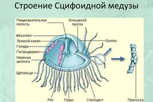 Solaris даркнет